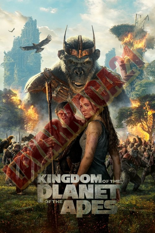 Poster Kingdom of the Planet of the Apes