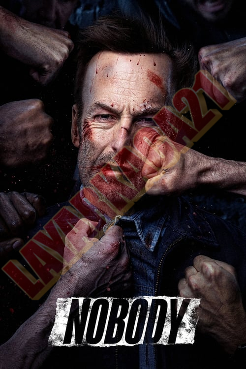 Poster Nobody